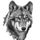 bilimadami adlı kullanıcı